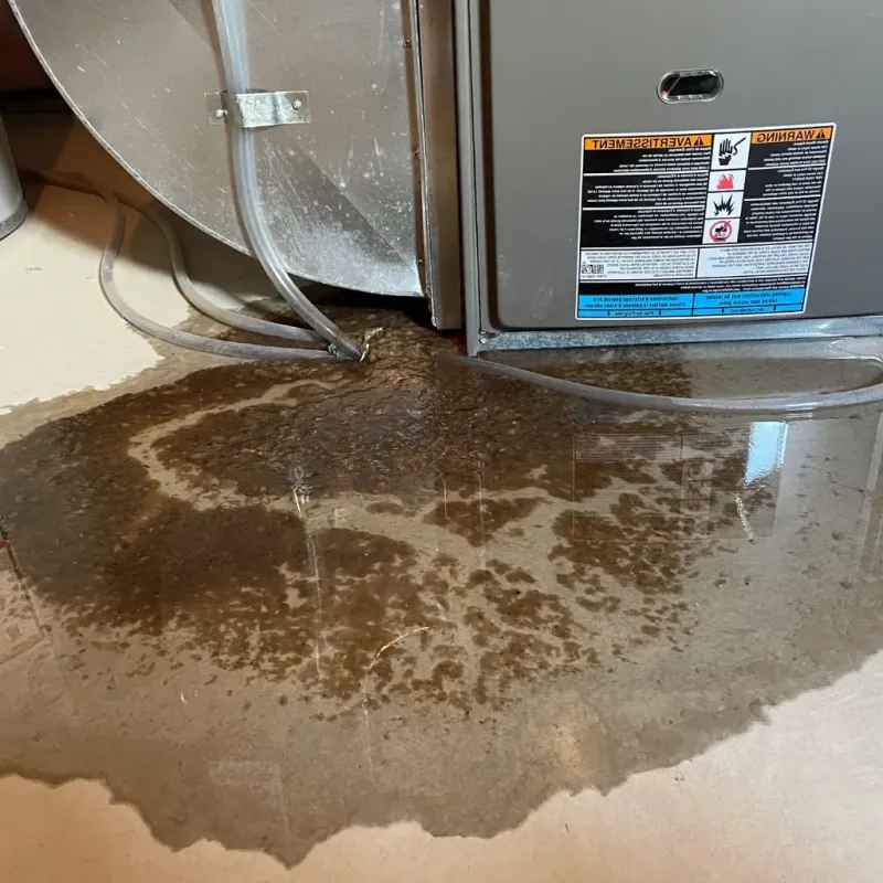 Pipe Burst and Leak Restoration in Noblesville, IN