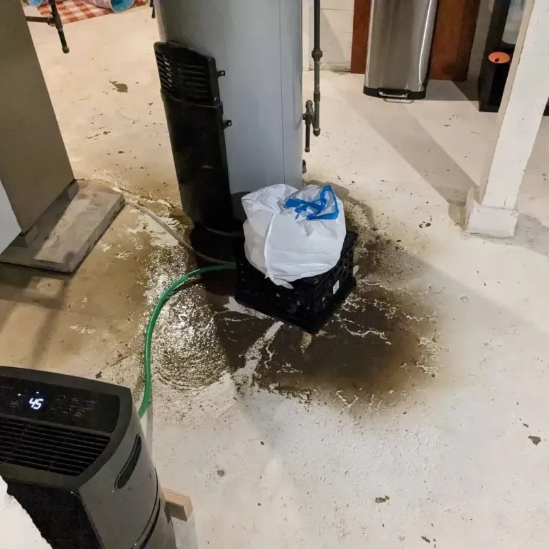 Sewage Backup Cleanup Service in Noblesville, IN